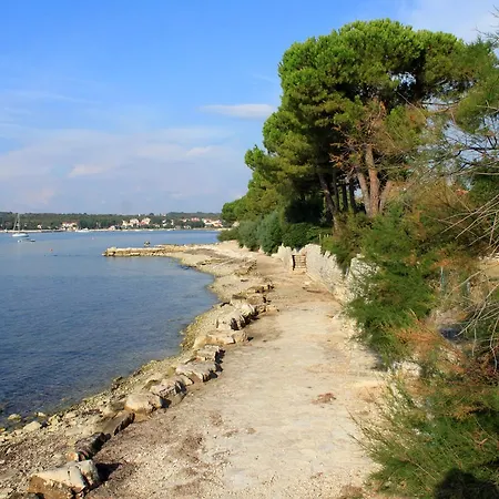 Holiday House With A Parking Space Dajla, Novigrad - 11612 Tatil Evi *